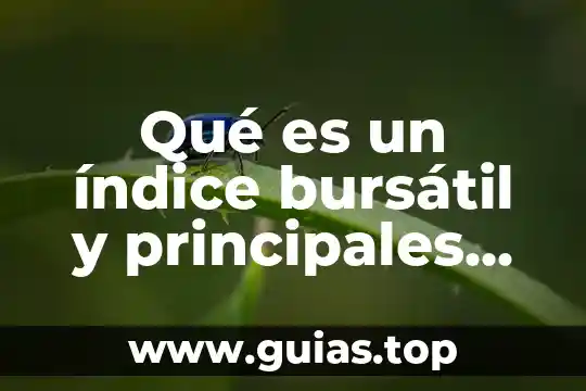 Que es el foro social mundial principales objetivos 4 Qué es un índice bursátil y principales índices