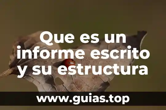 Que es estructura funcional en enfermeria 6 Que es un informe escrito y su estructura