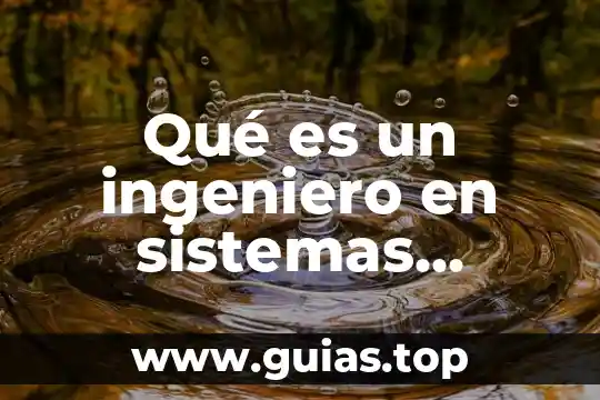 Que es prestamos productivos 3 Qué es un ingeniero en sistemas productivos