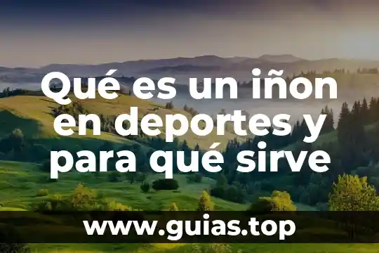 Qué es la cibernética y para qué sirve 6 Qué es un iñon en deportes y para qué sirve