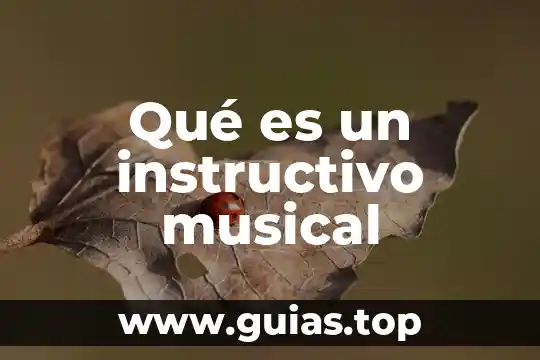Qué es una teoría musical 3 Qué es un instructivo musical