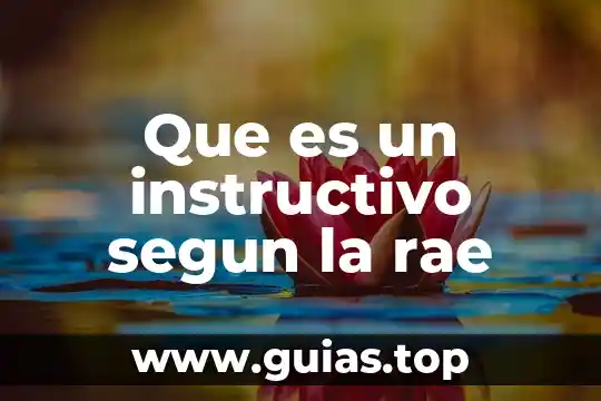 Que es un concepto segun la rae 7 Que es un instructivo segun la rae