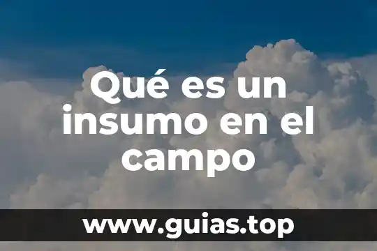 Que es el campo del estudio de la mercadotecnia 6 Qué es un insumo en el campo