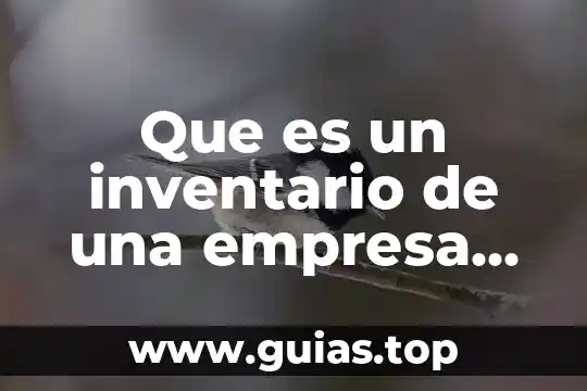 Por que es importante el concepto de empresa 8 Que es un inventario de una empresa industrial