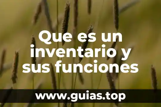Que es la celula animal sus funciones y sus partes 5 Que es un inventario y sus funciones