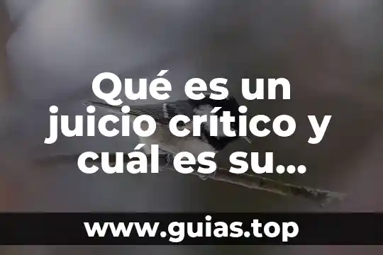 Qué es un juicio reivindicatorio en México 3 Qué es un juicio crítico y cuál es su función