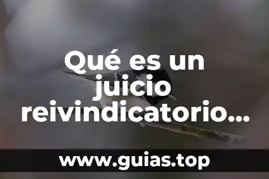 Que es juicio etico yahoo 4 Qué es un juicio reivindicatorio en México