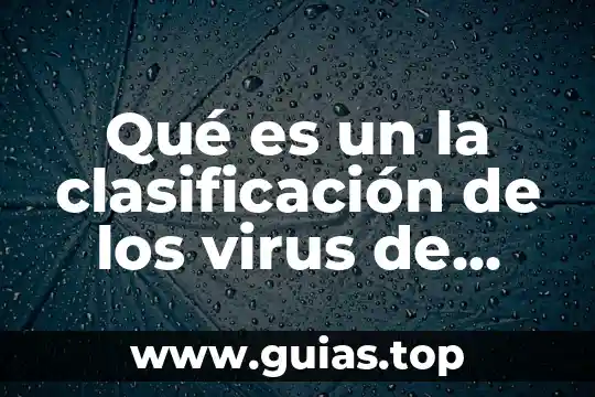 Qué es el virus en la computadora 4 Qué es un la clasificación de los virus de computadora