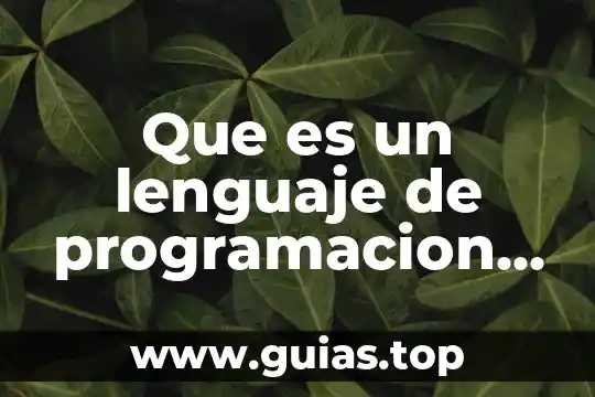 Que es una lenguaje algebraigo matematica 7 Que es un lenguaje de programacion y sus tipos