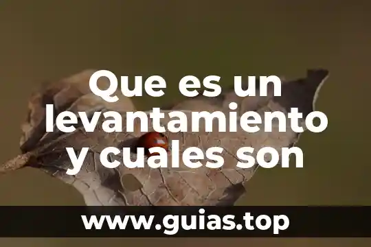 Que es un memorandum y cuales son sus caracteristicas 4 Que es un levantamiento y cuales son