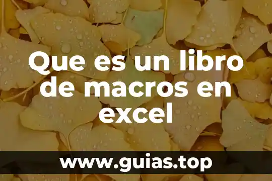 Que es un libro de macros en excel