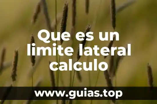 Terminal value que es 7 Que es un limite lateral calculo