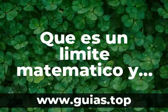 Que es el pensamiento matematico para piaget 7 Que es un limite matematico y sus aplicaciones