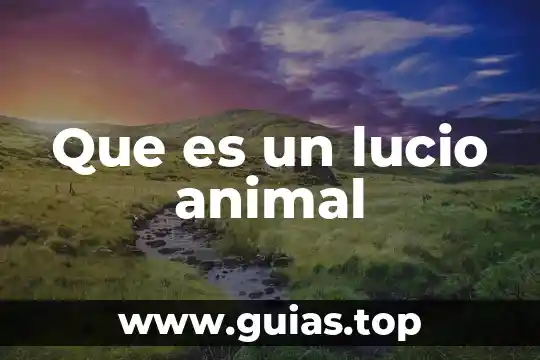Que es un topo animal 8 Que es un lucio animal