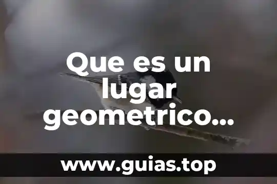 Que es una relacion de pareja definición artículo académico 3 Que es un lugar geometrico definicion