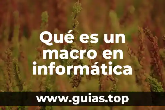Qué es un macro en informática