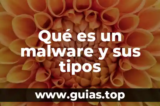 Libro español que es la lectura y tipos 8 Qué es un malware y sus tipos