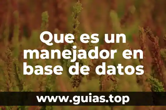 Que es un manejador en base de datos
