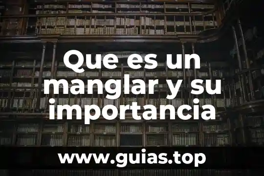 Que es soñar despierto e importancia 7 Que es un manglar y su importancia