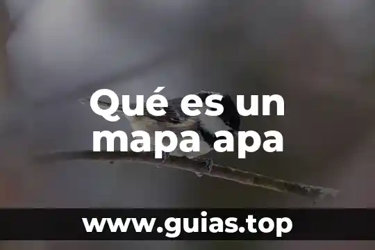 Que es el apa en etica 7 Qué es un mapa apa