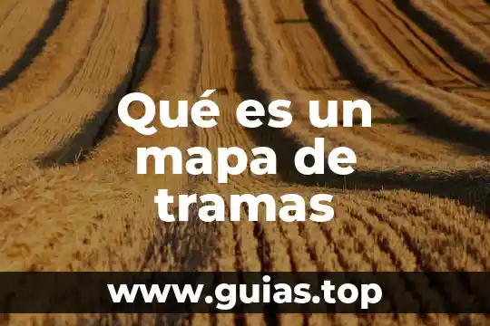 Qué es un mapa de tramas