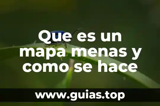 Que es una computadora quantica y que hace 8 Que es un mapa menas y como se hace