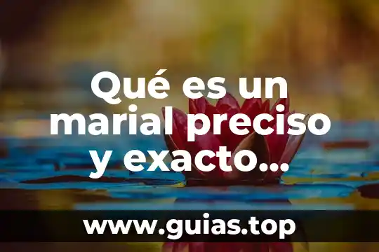 Que es la estructura quimica de un compuesto 5 Qué es un marial preciso y exacto química