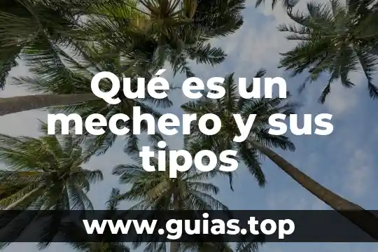 Tipos de vista que es 4 Qué es un mechero y sus tipos