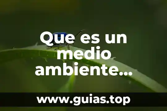 Animal que es muy limpio en la biblia 7 Que es un medio ambiente limpio