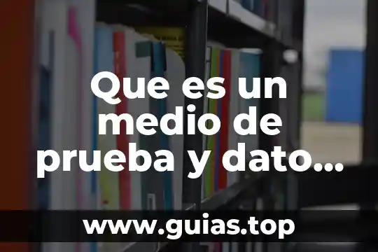 Que es un dato para bases de datos en access 4 Que es un medio de prueba y dato de prueba