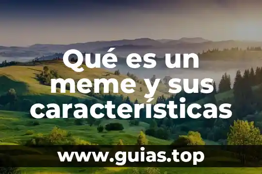 Que es el franquismo y sus caracteristicas 6 Qué es un meme y sus características