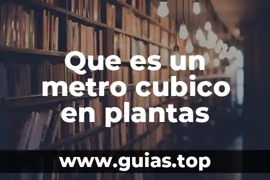 Que es un metro cubico en plantas