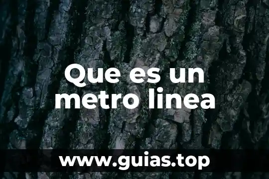 Que es un metro linea