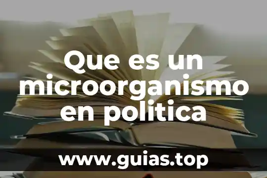 Que es la amnistia politica 3 Que es un microorganismo en politica
