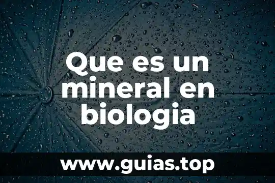 Que es el reino animal vegetal y mineral 6 Que es un mineral en biologia
