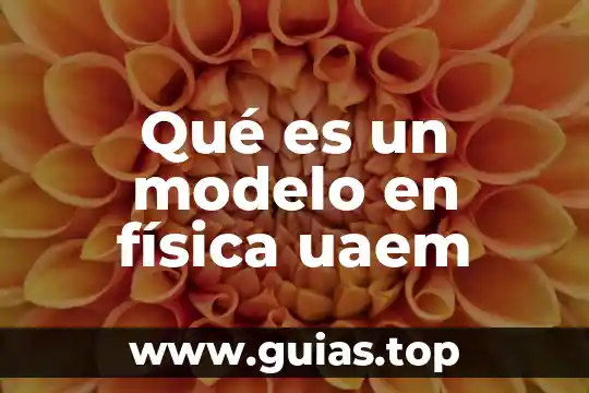 Que es el uso privado de la razon concepto 5 Qué es un modelo en física uaem