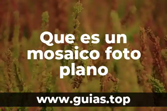 Que es plotear un plano 8 Que es un mosaico foto plano