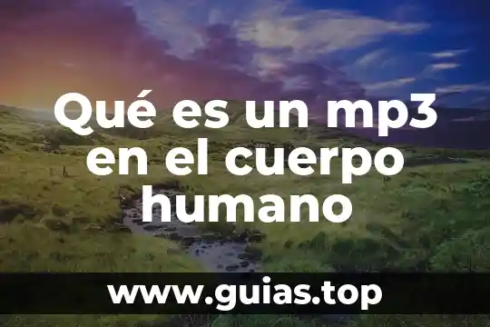 Qué es un cuerpo particular en física 8 Qué es un mp3 en el cuerpo humano