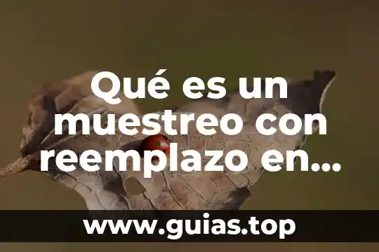 En estadística que es una hipótesis 8 Qué es un muestreo con reemplazo en estadística