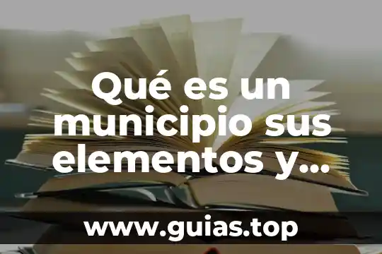 Qué es una ordenada al origen en matemáticas 8 Qué es un municipio sus elementos y origen