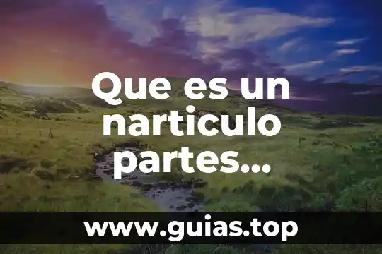 Que es el libro y sus partes y tipos 6 Que es un narticulo partes caracteristicas y como se hace
