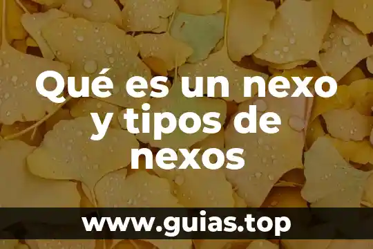Que es un disparador en sql y tipos de 7 Qué es un nexo y tipos de nexos