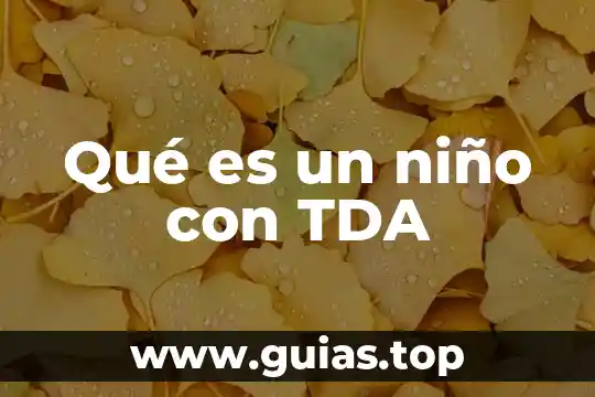 Que es lo que forja a un niño 4 Qué es un niño con TDA