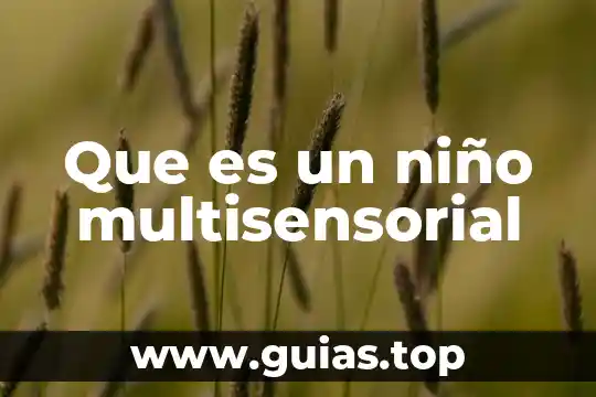 Que es un niño concepto 6 Que es un niño multisensorial