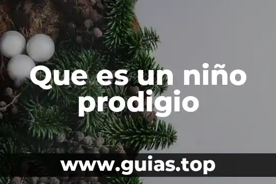 Que es un niño concepto 5 Que es un niño prodigio