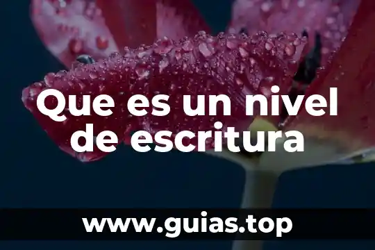 Que es la ludoteca en el nivel inicial 3 Que es un nivel de escritura