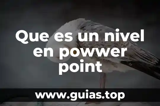 Que es un nivel en powwer point