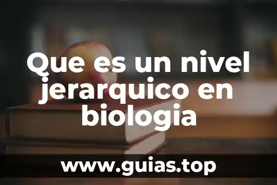 Que es nivel jerarquico en biologia 3 Que es un nivel jerarquico en biologia