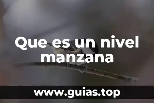 ¿Qué es el test-retest definición? 3 Que es un nivel manzana