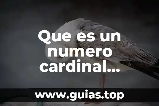 Qué es el número de muestras 4 Que es un numero cardinal concepto linguistico